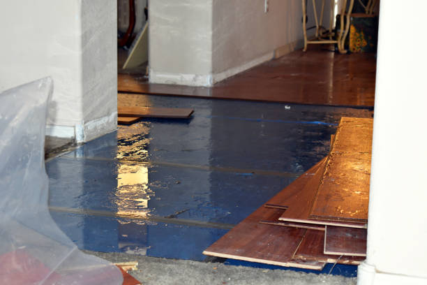 Professional Basement Flood Cleanup technician working in Brilliant, AL